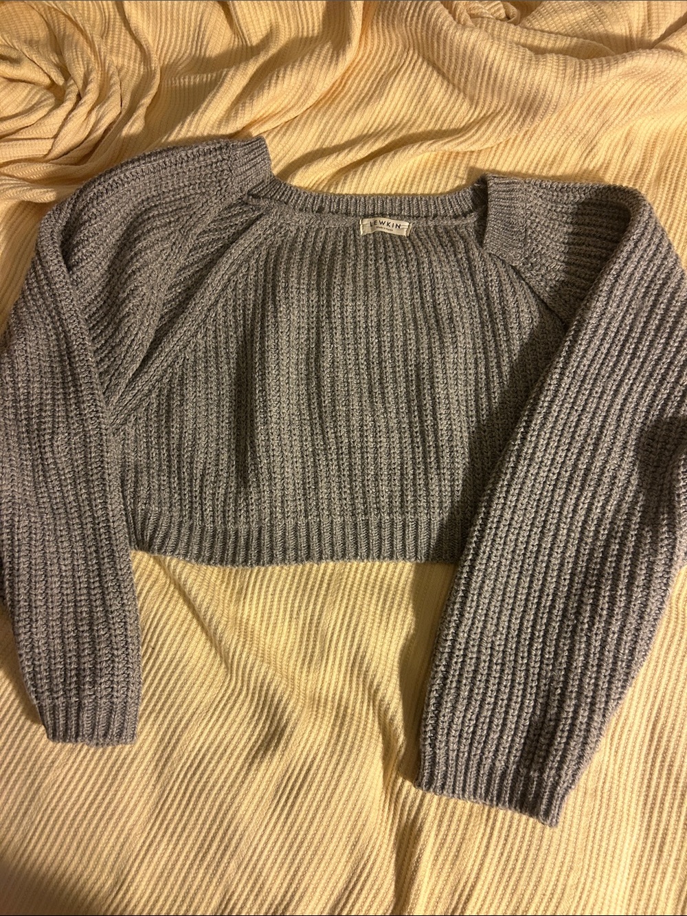 Cropped Ribbed Crewneck Sweater - Gray